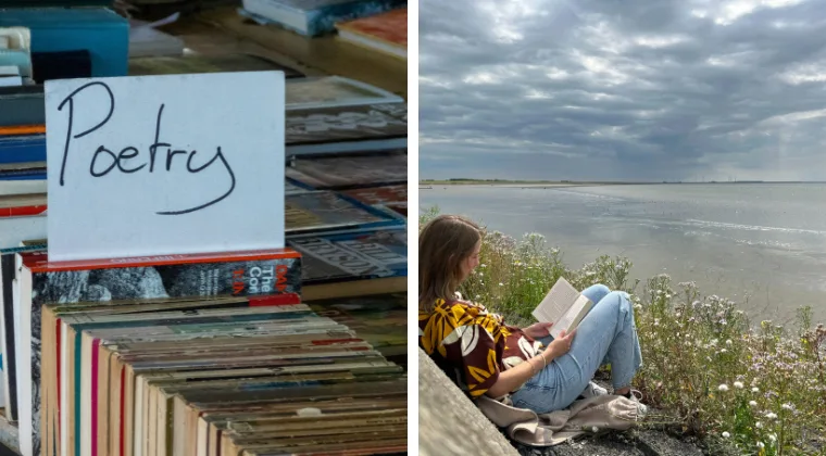 Books labeled "Poetry" on a shelf. A person sitting by a lakeside reading, with a cloudy sky overhead.