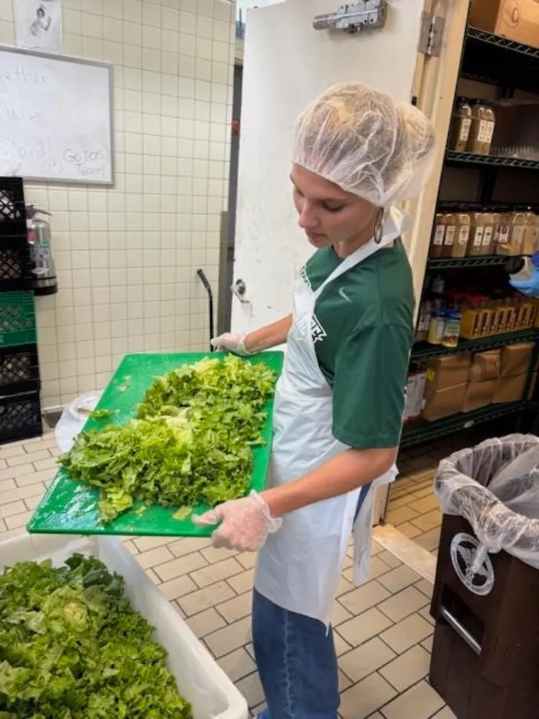 Person in apron and hair net pours chopped lettuce from green tray into a container in a kitchen setting.