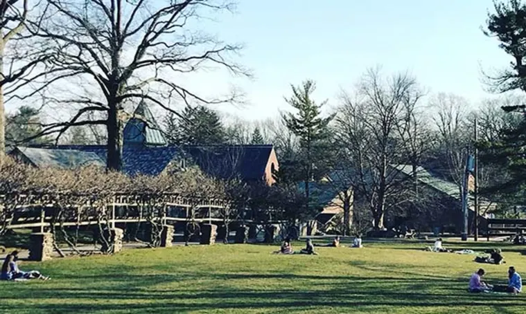 People sitting on a grassy field under clear skies, with trees and buildings in the background.