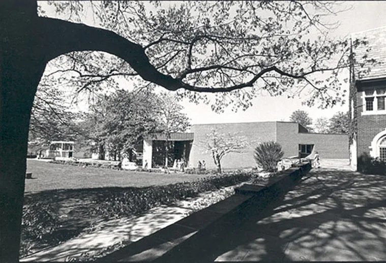 Sidewalk beside trees and modern and traditional brick buildings. A large tree branch extends across the foreground in a leafy courtyard.