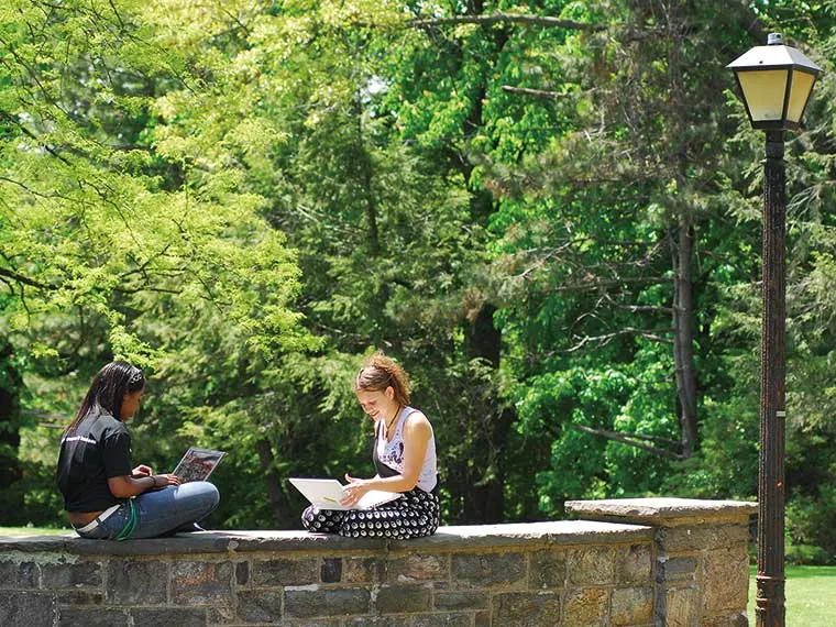 Two people sitting on a stone wall, using laptops, surrounded by lush greenery on a sunny day. A lamppost is visible nearby.