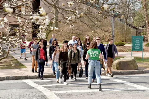 A group of people walks across a pedestrian crossing, led by someone in a green "Team SLC" shirt. Blooming trees and a building are visible.