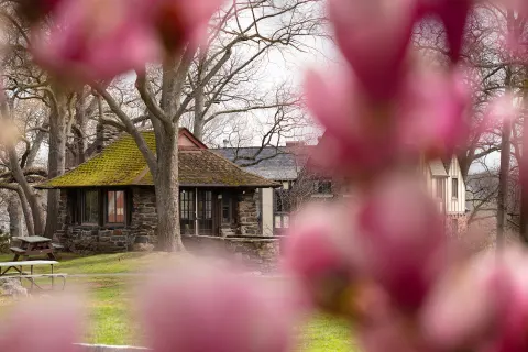 Stone cottage with mossy roof surrounded by bare trees. Blurry pink blossoms in the foreground, and a picnic bench to the left.