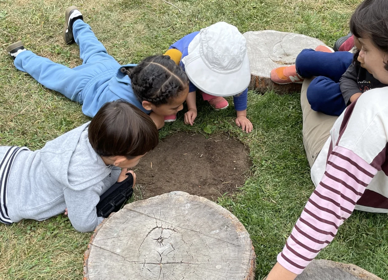 Children lying on grass and examining a patch of dirt surrounded by tree stumps.