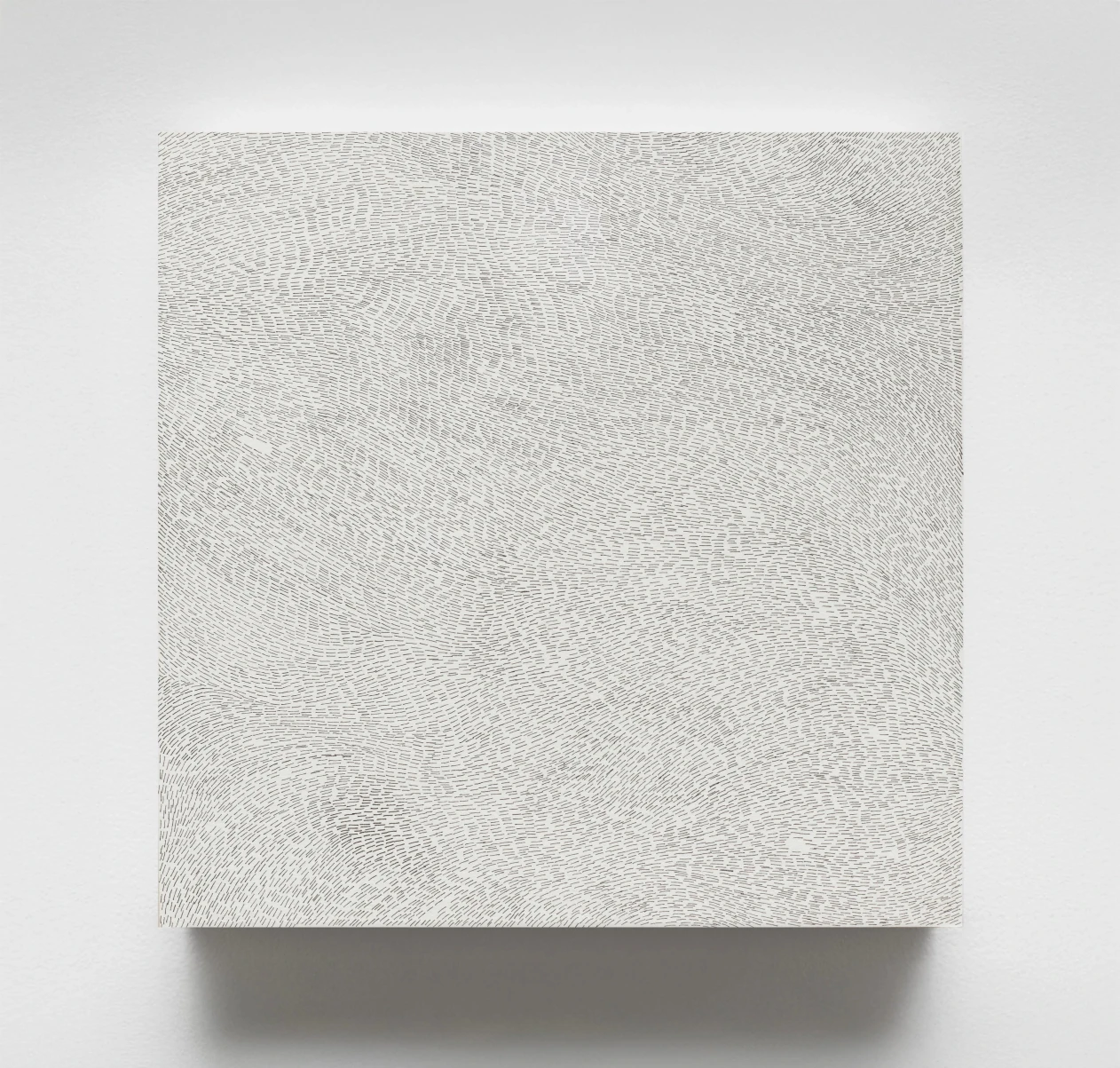 Rectangular artwork with dense, swirling patterns of small, textured lines on a white background.