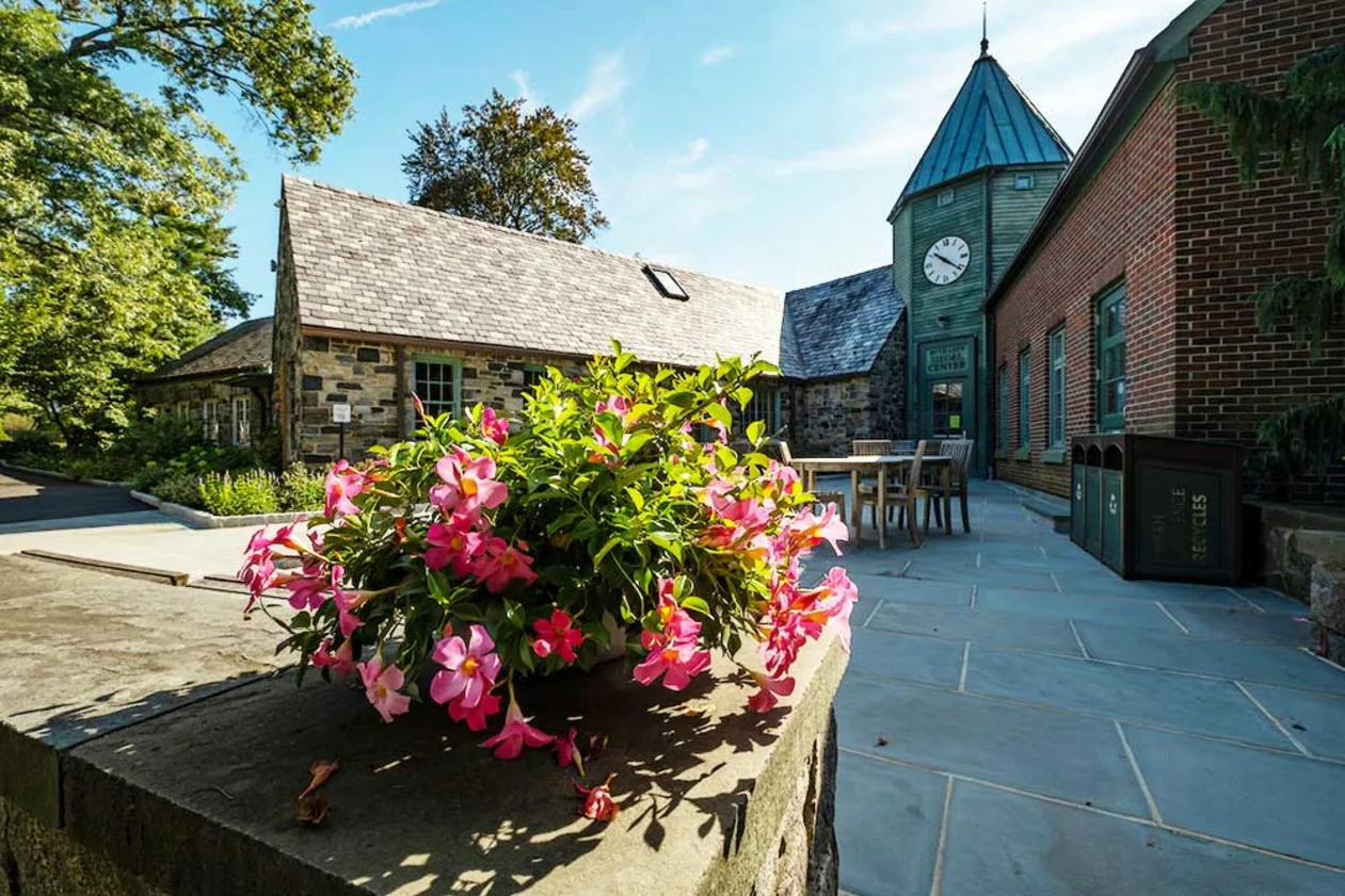 Stone building with a clock tower, outdoor seating, and a potted plant with pink flowers in the foreground, under a clear blue sky.