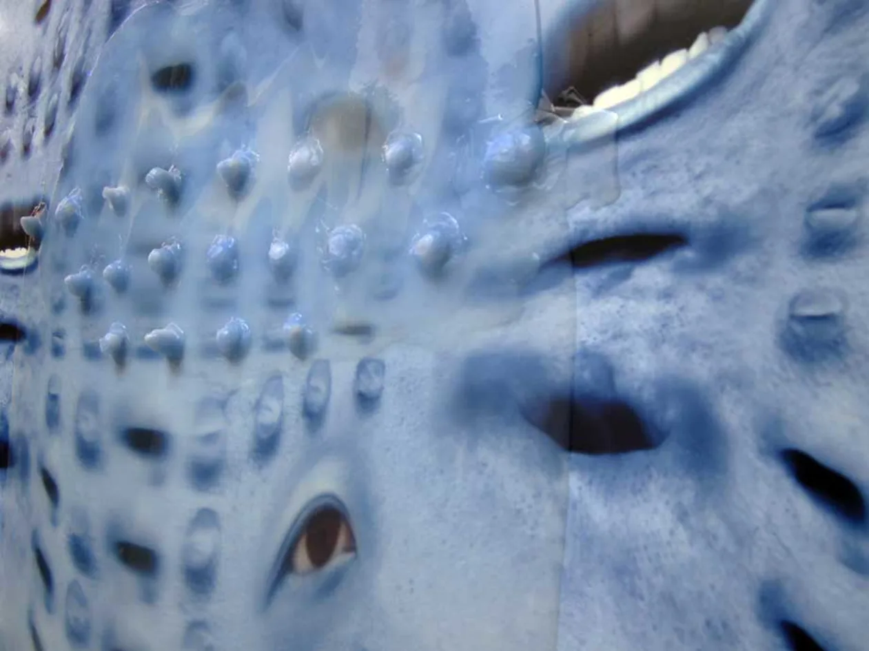 Close-up of a blue, textured surface with bumps and ridges, showing part of an unblinking eye peering through.