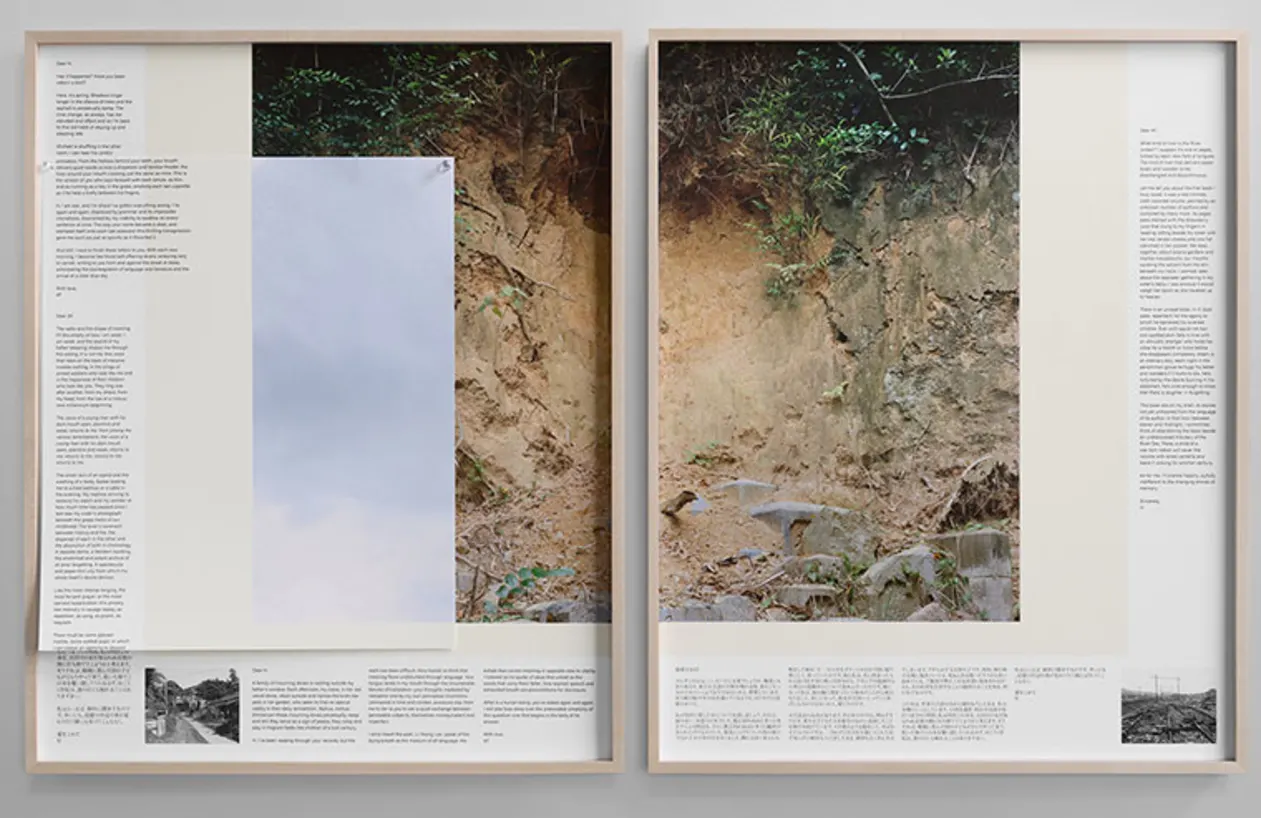 Two framed panels featuring a collage of text and images. Left panel shows a pale sky; right panel depicts a dirt slope with plants.