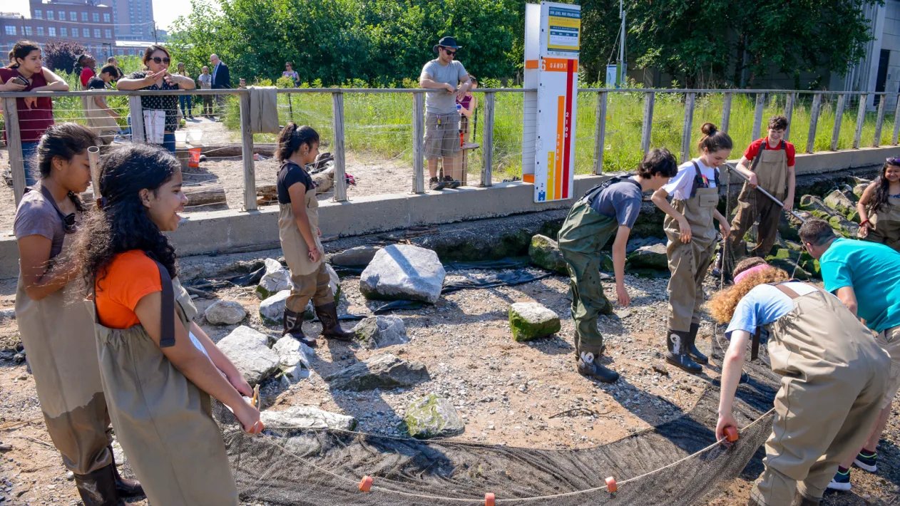 People wearing waders work together with a net near a rocky area, observed by others behind a railing. Trees and buildings are in the background.