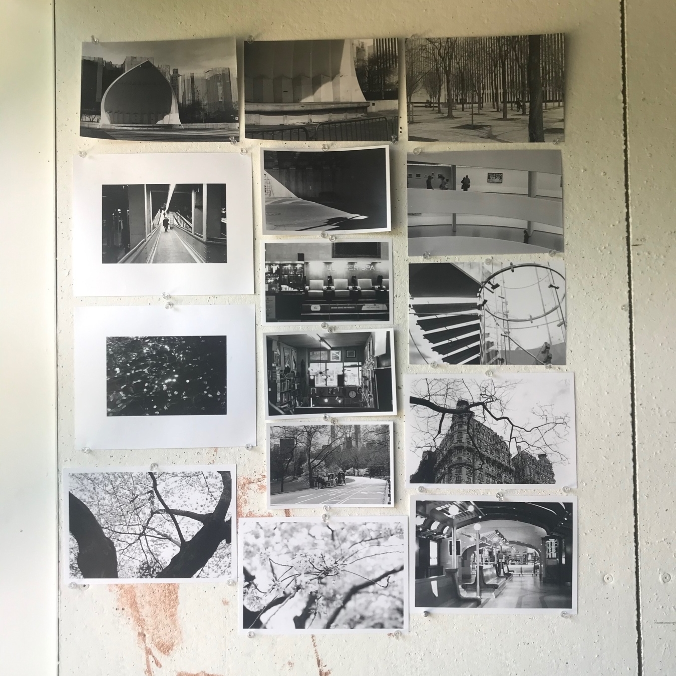 Black and White Photography with Sophie Barbasch Open Studios - Spring 2022 . #slcvasa
