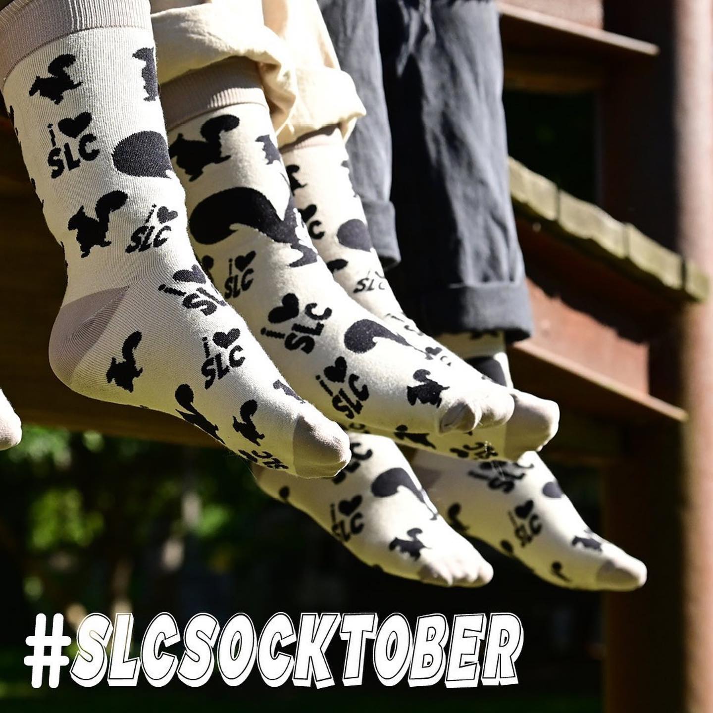Socktober!! 💚 Follow the link in our bio for more info and to get your pair! #Repost @sarahlawrencealumni ・・・ Happy #Socktober! For a limited time, get a pair of these iconic black squirrel socks with a donation of $25 or more to The Fund for Sarah Lawrence at the link in our bio. #sarahlawrencecollege #sarahlawrence #socks #squirrels #blacksquirrel
