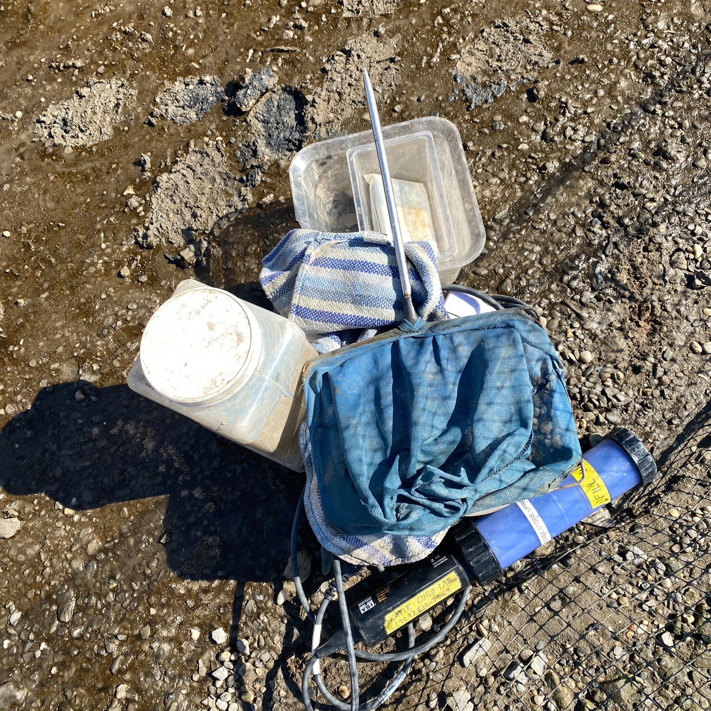 We are celebrating the start of the Spring season by visiting our marsh and observing through the lens of our camera. Follow along and see how many things you can identify! Photo 1: Our Eel samplers take a lot of science tools out to the marsh to conduct their research. These tools include a net, a YSI probe, a container, a towel, scale and travel tanks. Photo 2: Our fyke net during low tide sits atop the slimy and slippery marsh mud. Rocks hold the net in place as the tide brings in water from the Atlantic Ocean. Photo 3: Eel samplers fill a bucket of water to wash the animals from the net. If more than 20 eels are caught, they will take a small trip into the center space to be weighed and counted! Photo 4: Animal tracks are common on our marsh island. Today we observed the tracks of 2 different animals - geese and dogs. Photo 5: Bubbles began forming in the shallow tide pools on the marsh island. This happens during warmer days like today and are naturally forming. #marsh #HudsonRiver #Americaneels #volunteer
