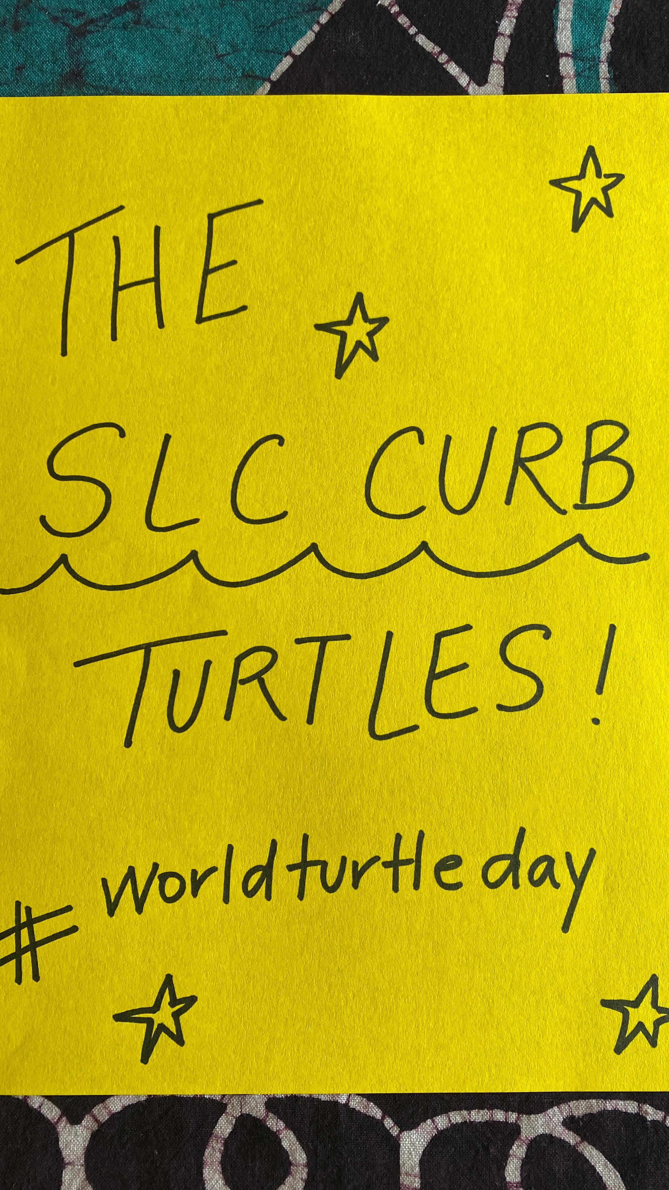 The turtles at our center are some of the biggest stars of our programming. Students and visitors explore and make observations as they visit each of the different tanks that our turtles call home. We currently host 3 different species of turtle including Diamondback Terrapin, Snapping Turtle and Red-eared Slider. Our tanks are maintained by staff, interns and volunteers! We welcome you to visit our turtles - they love being read to, meeting new persons and teaching visitors about their species. Who has your vote as the cutest turtle? 🐢 Celebratory #worldturtleday everyone!
