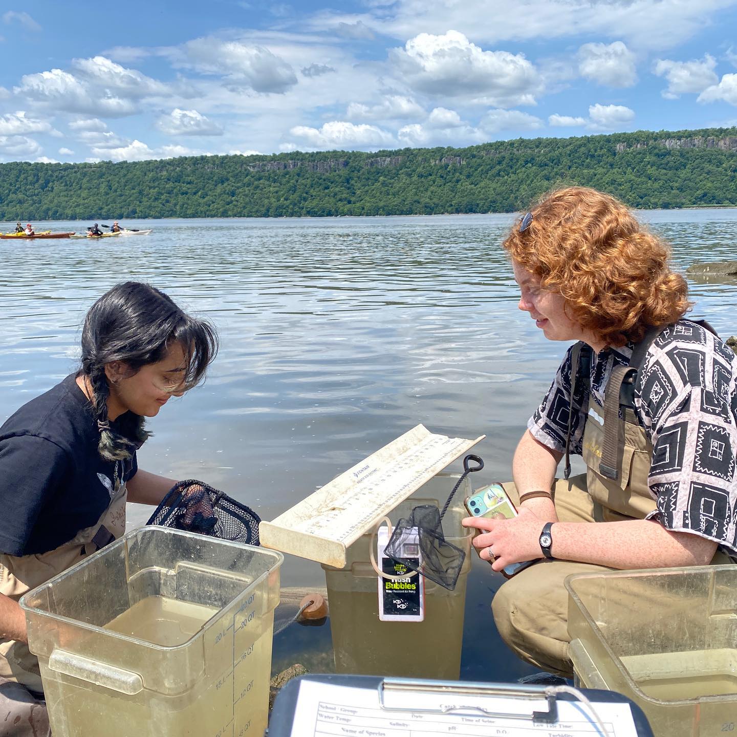 Today we celebrate World Fish Migration Day Lower Hudson Fish Count in partnership with @nysdec and @columbialamontearth! Scroll through to see some of our interesting finds today. If you can identify any of them, give us your thoughts in the comments below. #nysgetoutdoorsday #wfmd #americaneel #hudsonriver