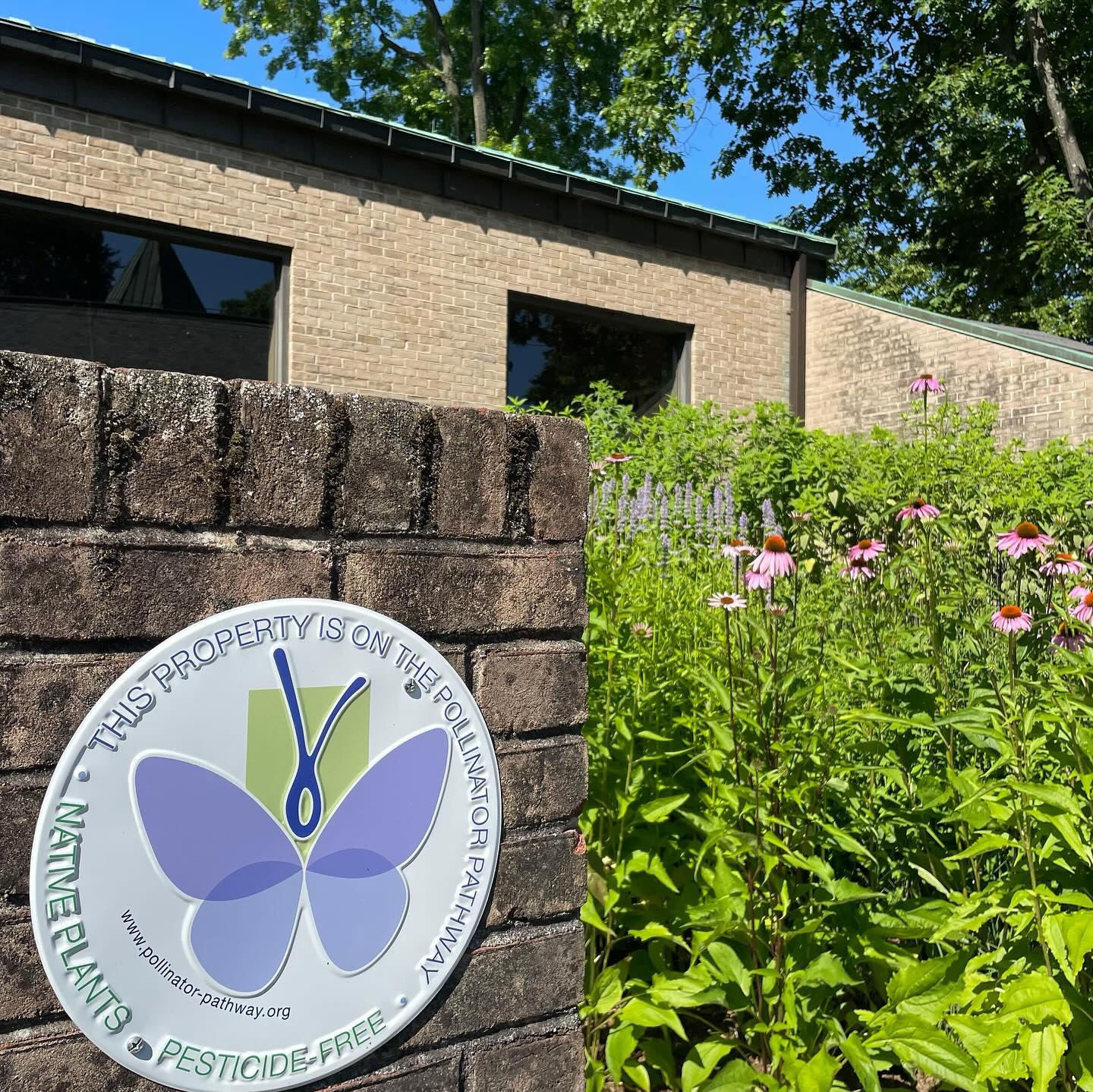 Sign on brick wall indicating property is on a pollinator pathway and pesticide-free, with plants in the background.