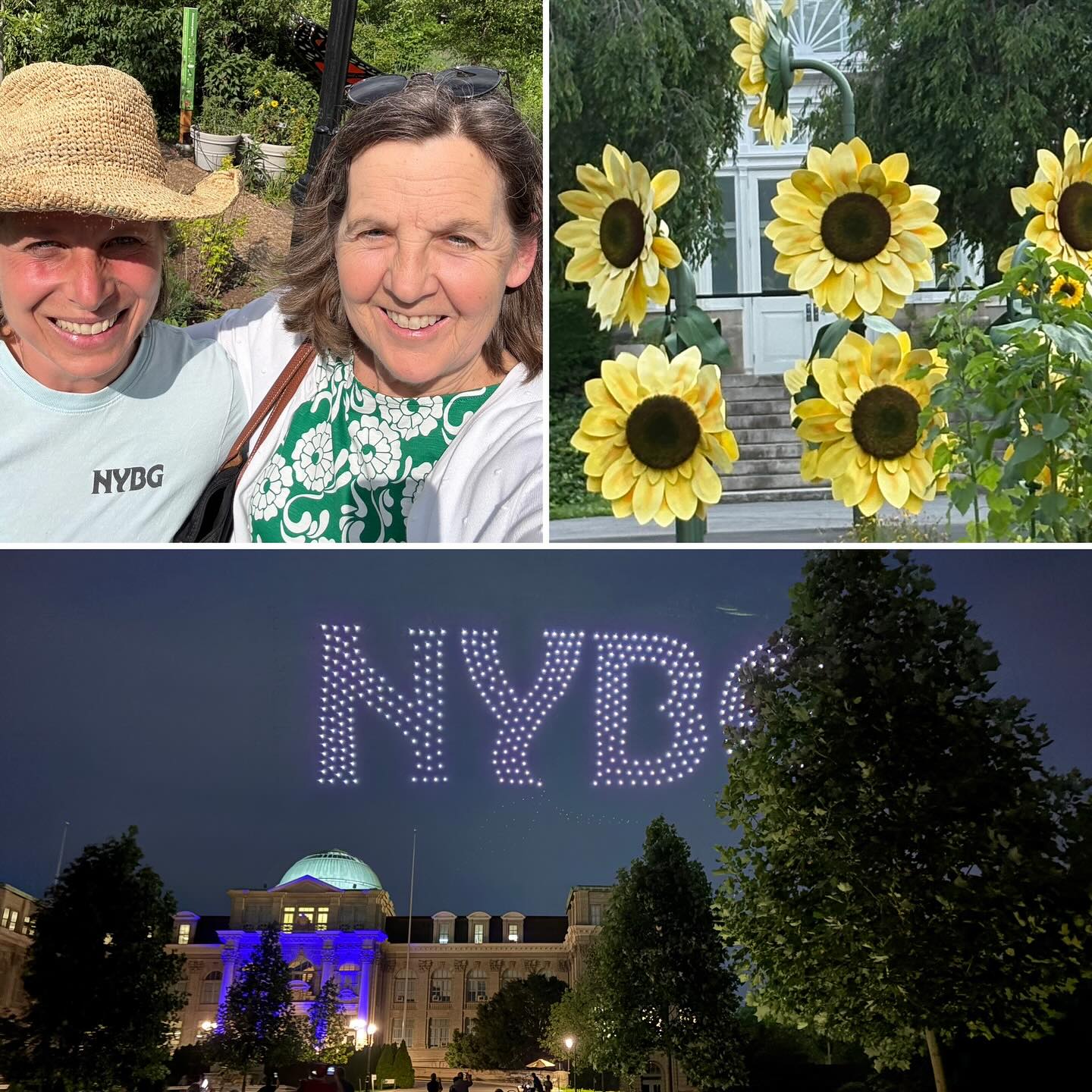 Two people outdoors, large sunflowers near a building, and NYBG illuminated in the night sky above a lit-up domed building.