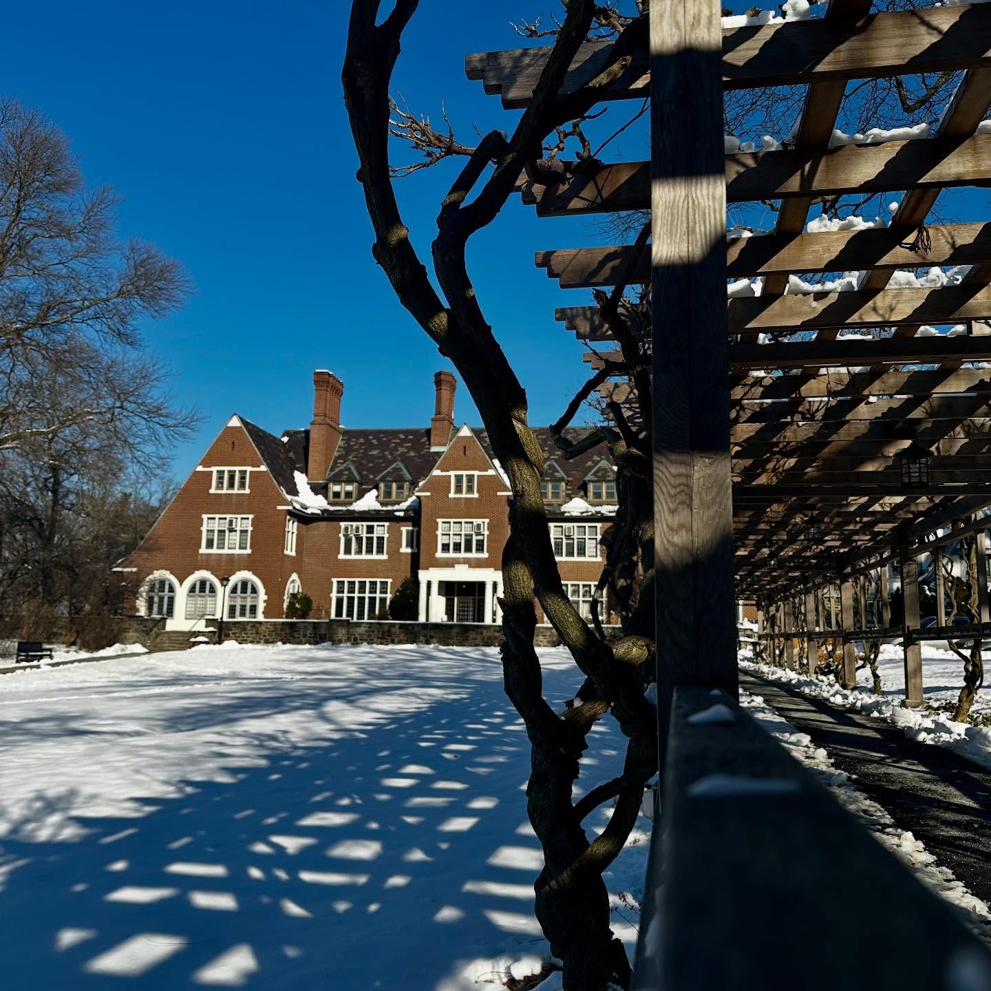 Snowy garden with tall brick building in the background. Wooden pergola casts shadow patterns on the ground under a clear blue sky.
