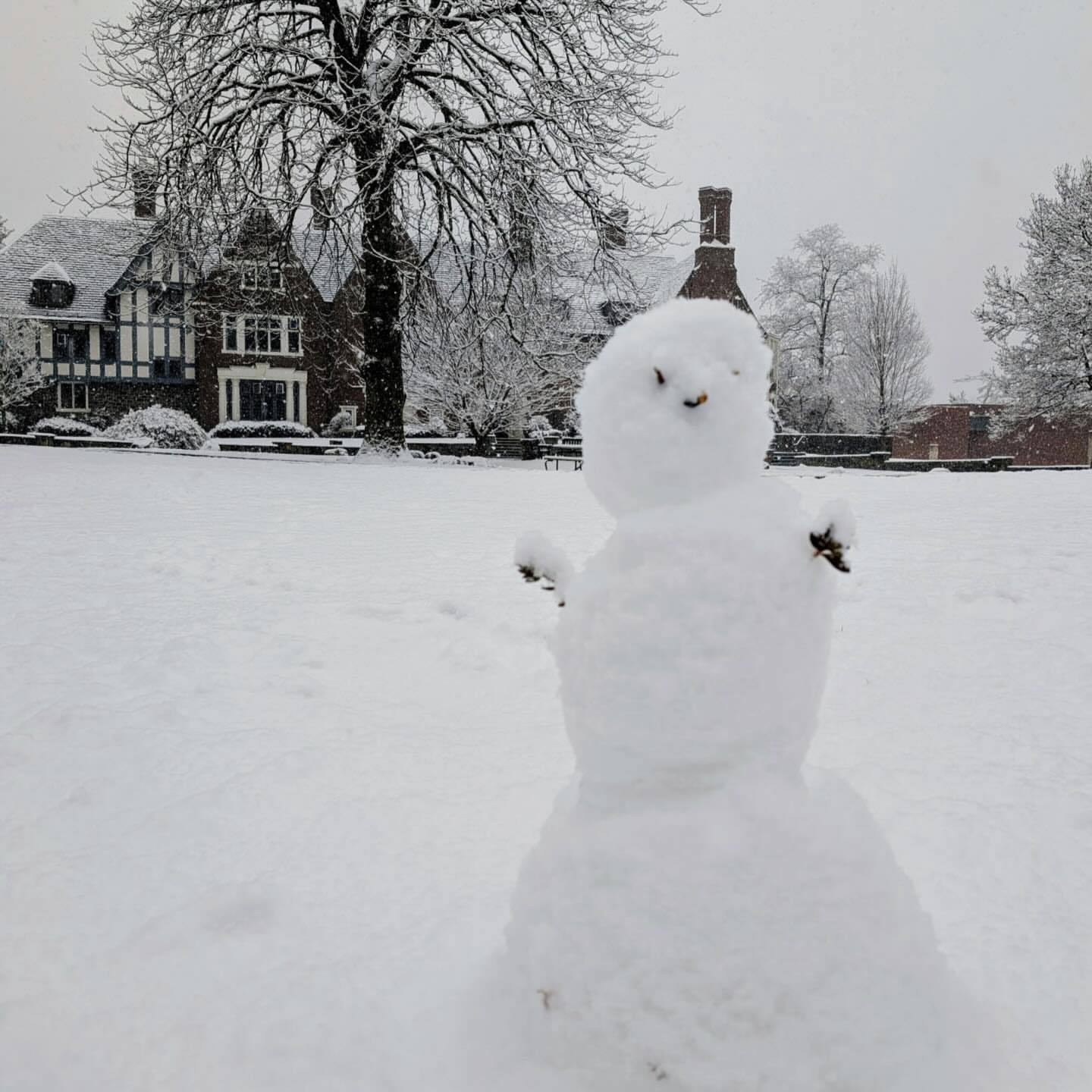 Snowman with twig arms stands in a snowy field, with trees and houses in the background. Snow is falling gently.