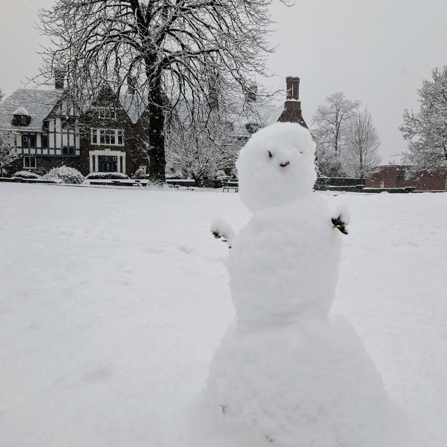 A small snowperson on a snowy field with houses and bare trees in the background during light snowfall.