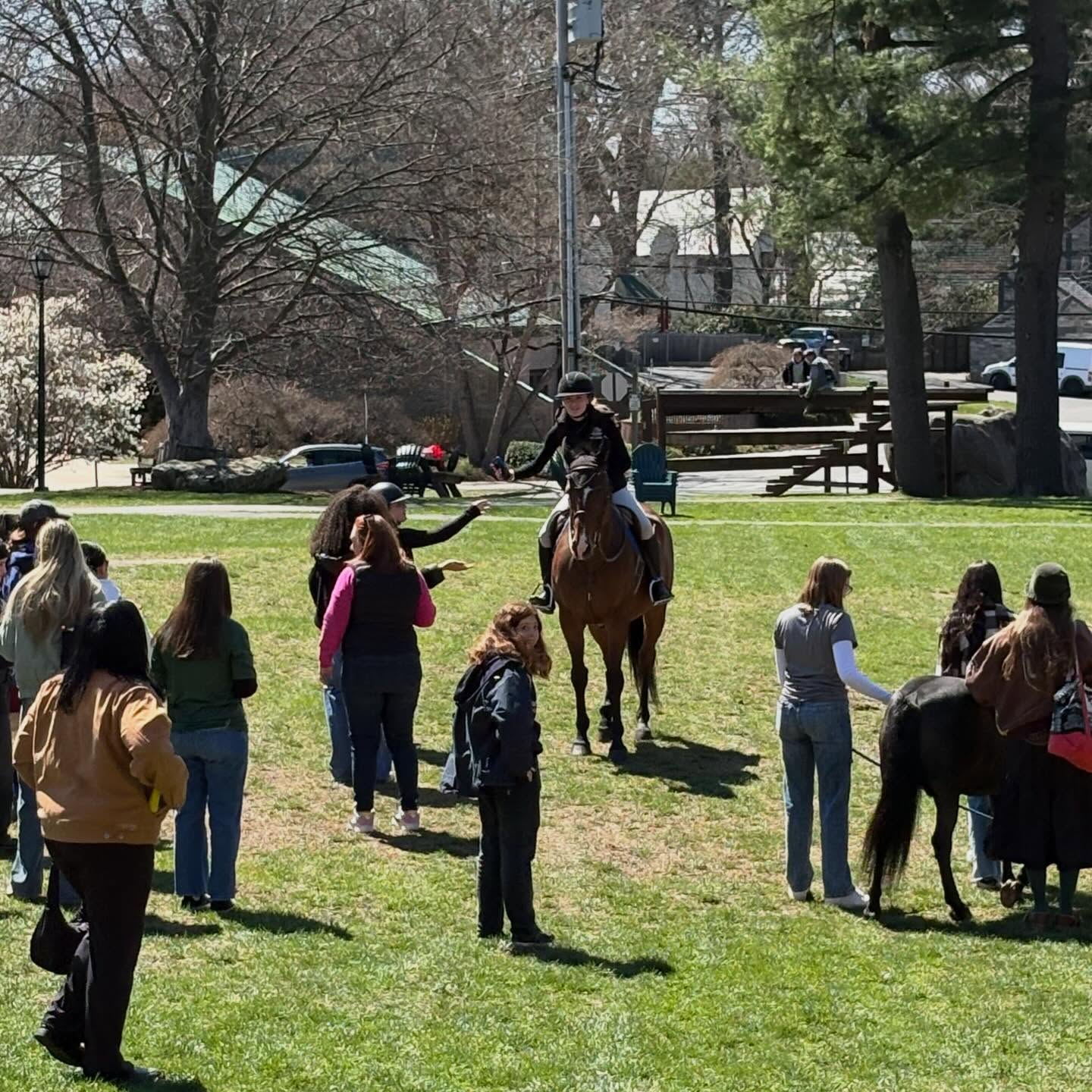 Person riding a horse on a grassy area surrounded by a group of people, some of whom are interacting with another horse.