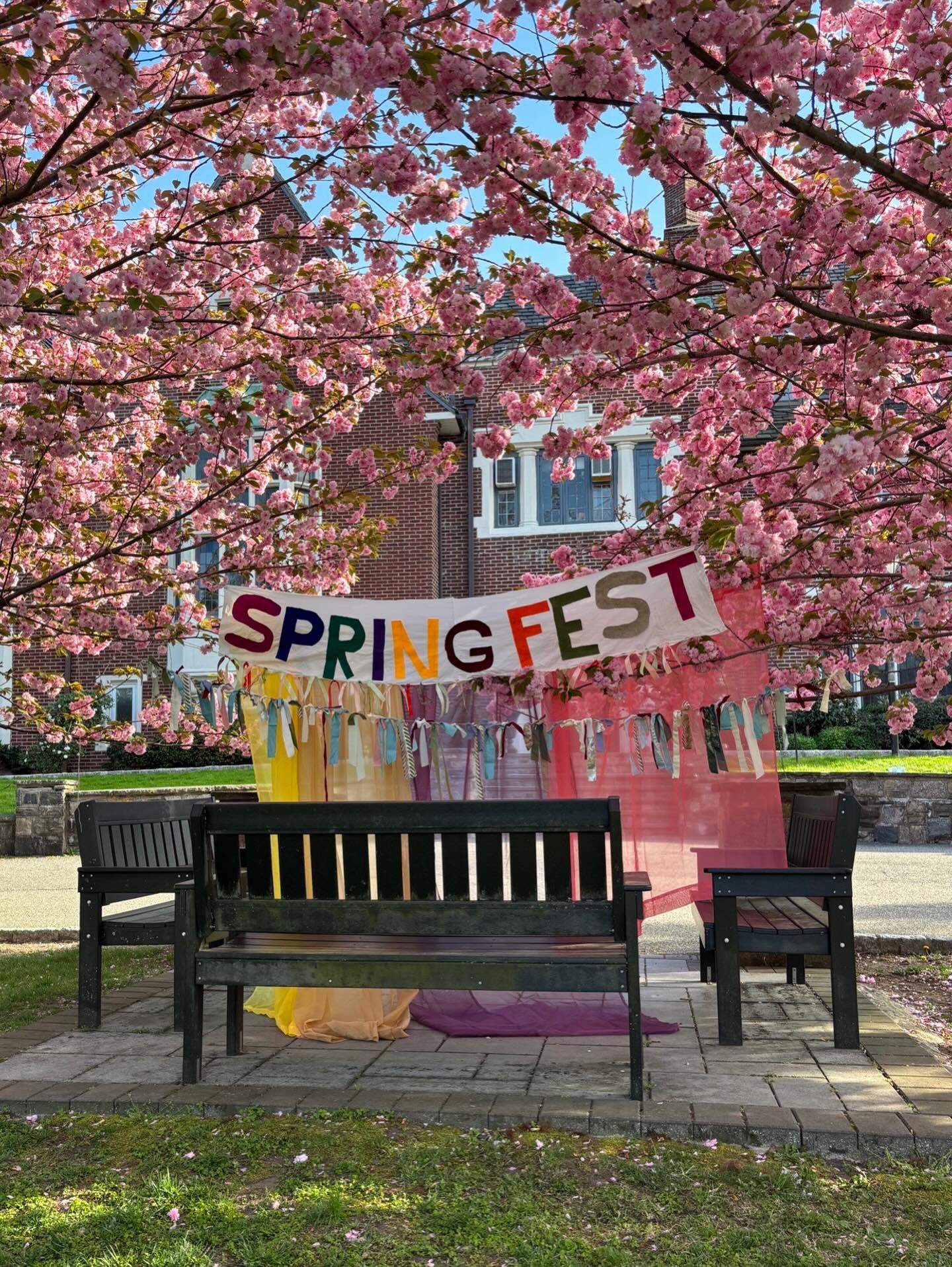 Cherry blossoms frame a park scene with benches and a "Spring Fest" banner, placed in front of a red brick building.