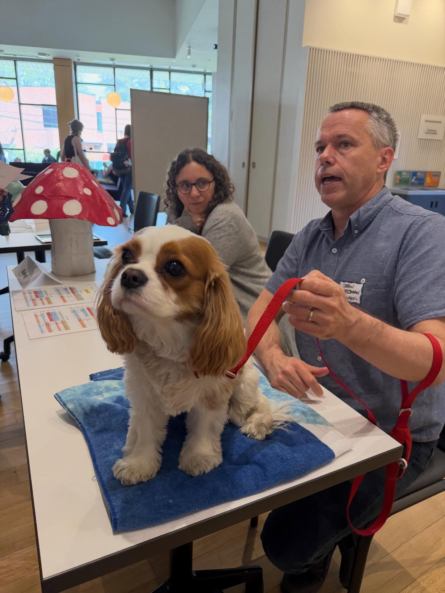 A dog sits on a table between two people indoors; one holds its leash. A red mushroom decoration is nearby.