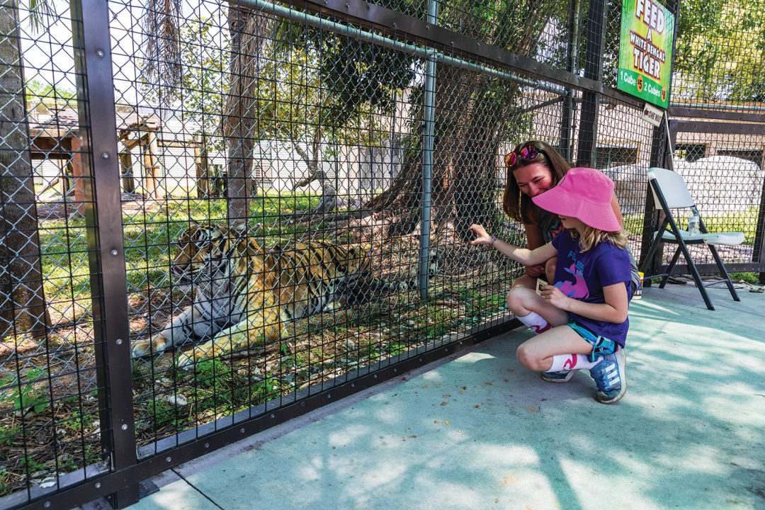 A mother and daughter take a close look at a tiger.