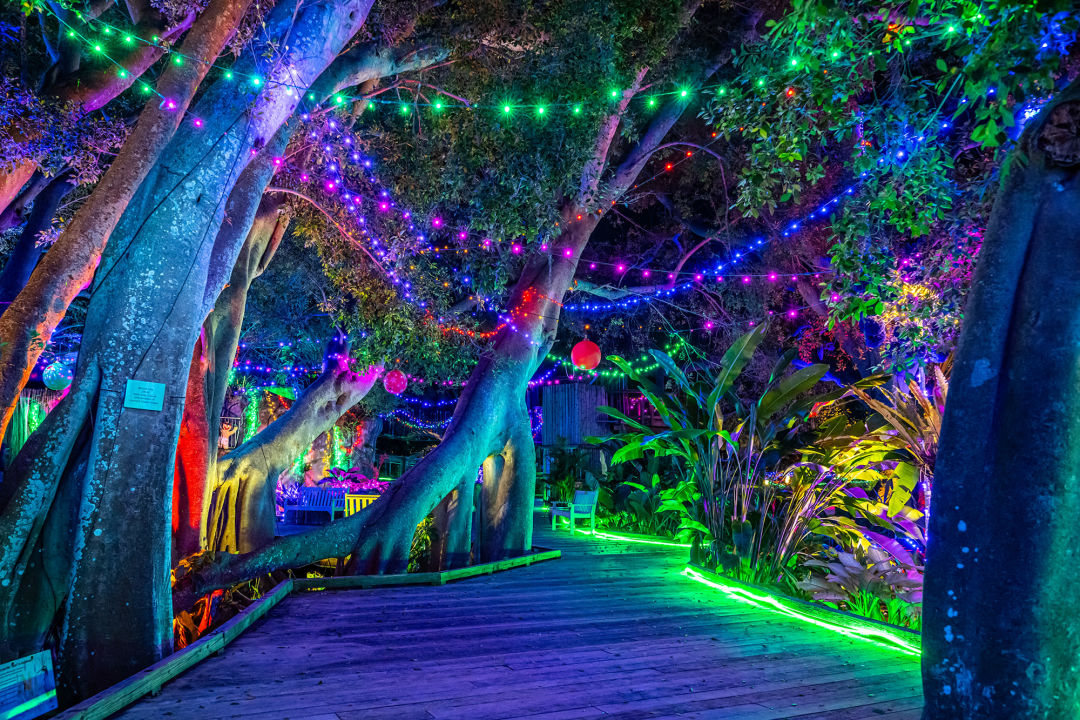 Stop Your Doom Scrolling and Look at These Photos of Selby Gardens
