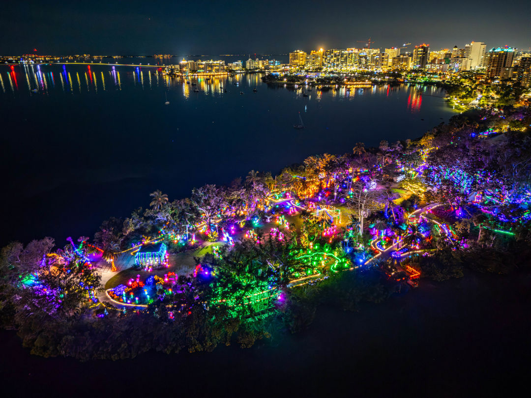 ★自宅保管未開封★昭和レトロ希少　ジャズスタイル　サインライト　イルミネーション Stop Your Doom Scrolling and Look at These Photos of Selby Gardens