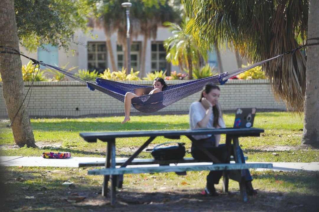 For decades, New College was known as a free-thinking institution where students were encouraged to determine their own educational path.