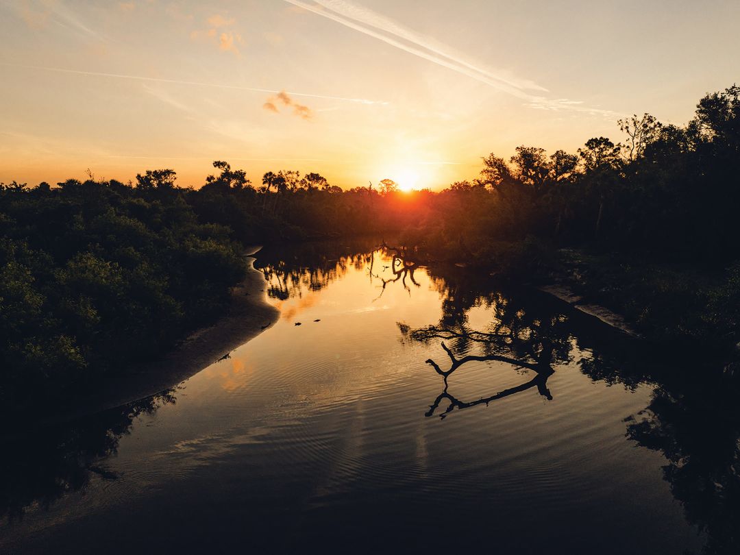 The Myakka River