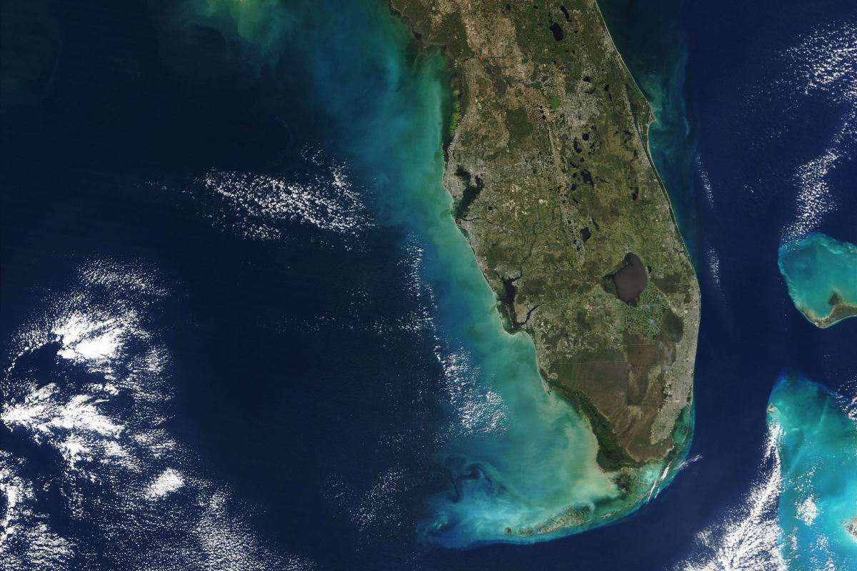 Climate Adaptation Center Receives $300,000 Grant from Barancik Foundation