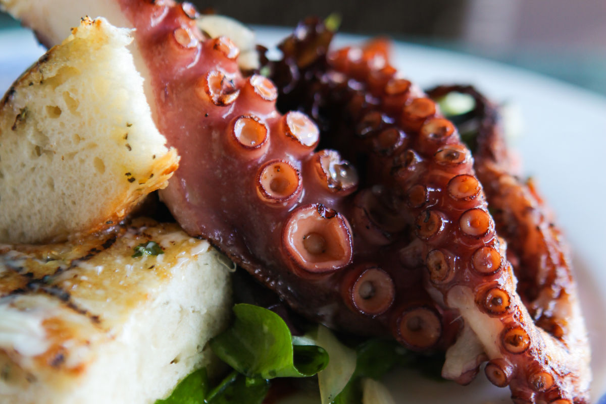 Crab & Fin | Restaurants | Sarasota Magazine