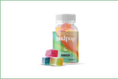 Best THC Gummies Reviewed in 2026: Top Brands That Actually Work