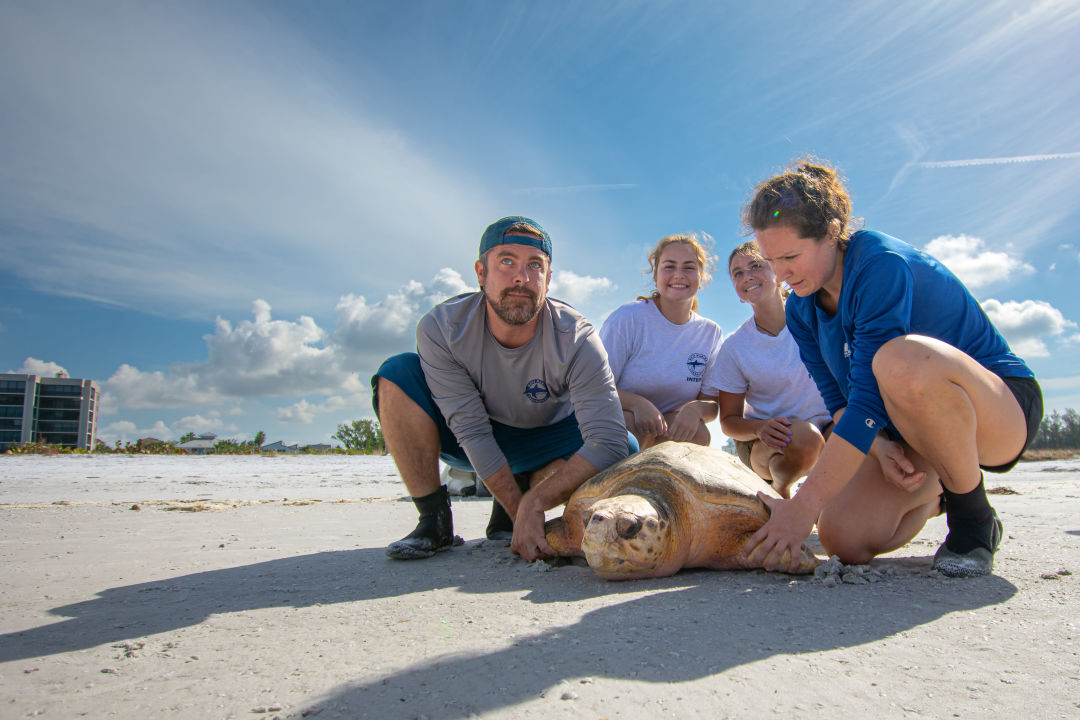 Lil' Dougie on Siesta Key Beach.