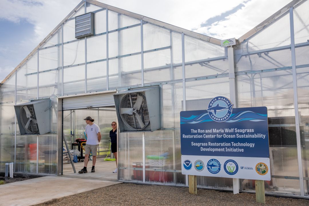 Mote hosted a ribbon cutting for its three new research facilities this week, including Ron and Marla Wolf Seagrass Restoration Center for Ocean Sustainability Greenhouse Facility.