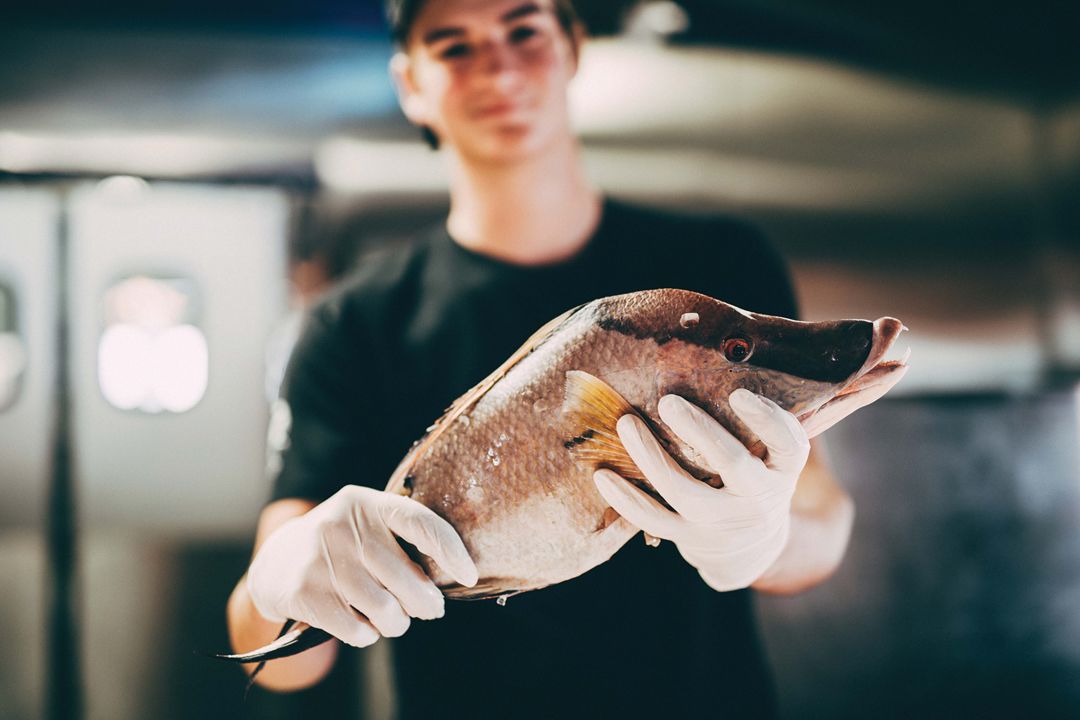 Best seafood restaurant: Walt's Fish Market, Restaurant & Tiki Bar