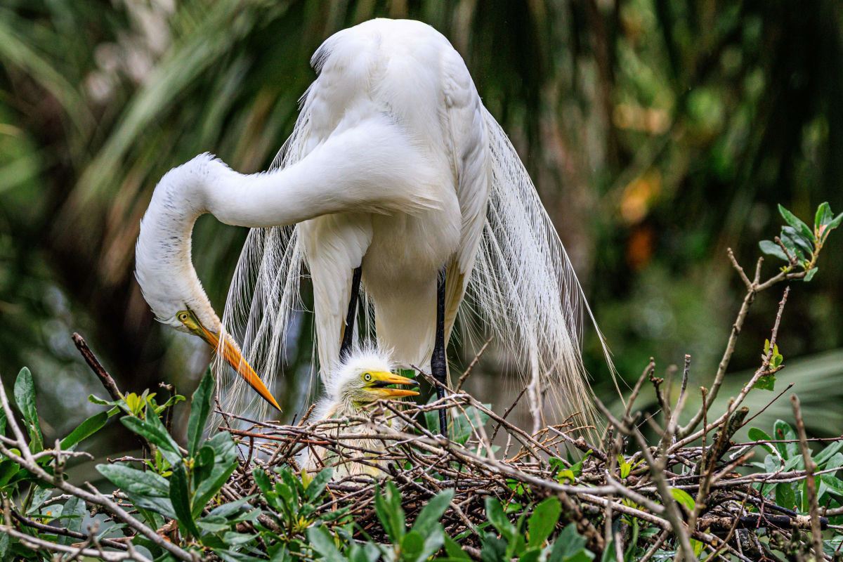 Looking at the Winning Images From Big Waters Land Trust's Summer Photo Contest Will Reset Your Nervous System