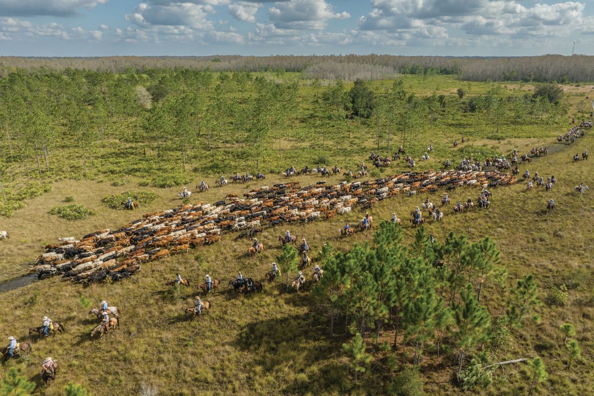 Join Isaac Eger On a Journey Into Florida’s Forgotten Cowboy Culture