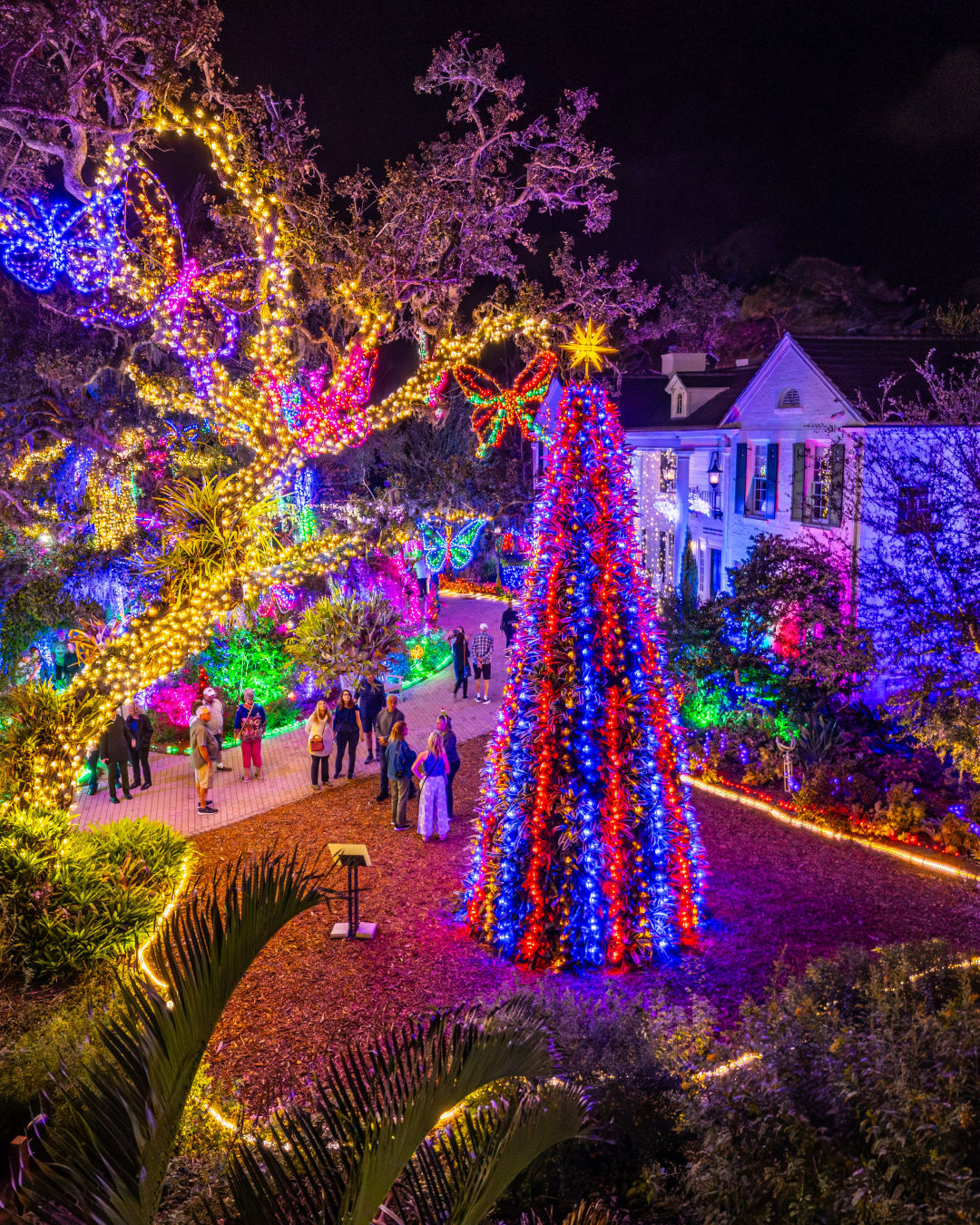 Selby Gardens' holiday tree.