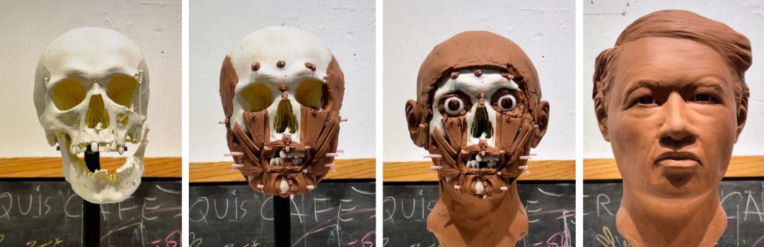 A 3D-printed skull is reconstructed, layer by layer, in clay.