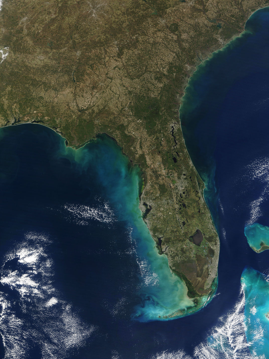 A $300,000 grant from the Barancik Foundation will help the Climate Adaptation Center continue to deliver accessible, peer-reviewed climate science that impacts the region and the state.