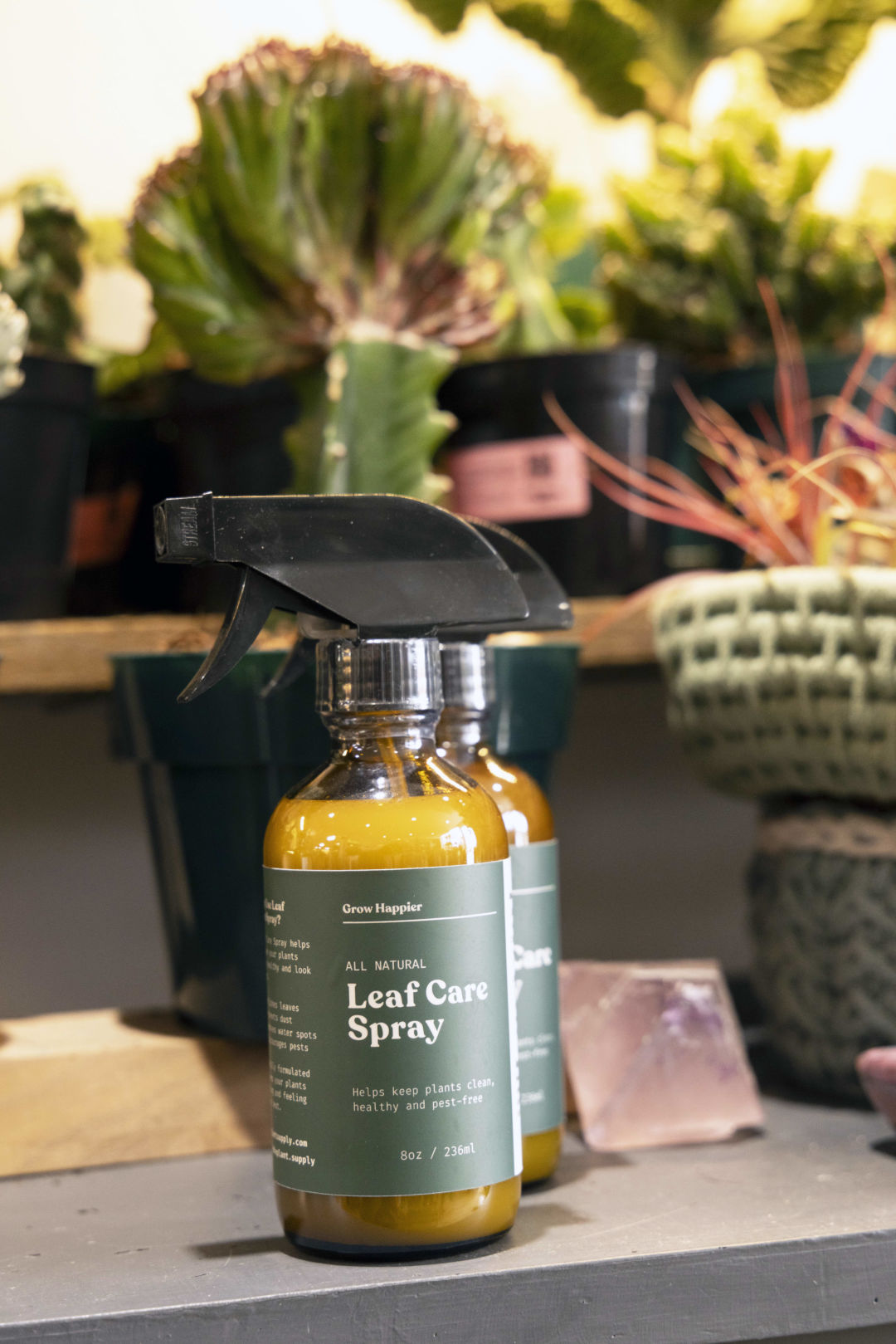 Leaf Care Spray keeps plant leaves happy and healthy.