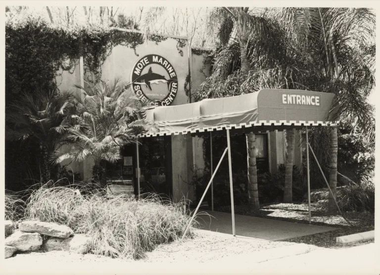 Mote's City Island location in the 1980s.