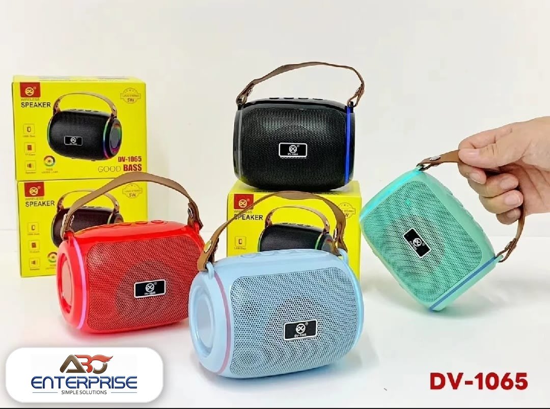 DV-1065 মিনি ওয়্যারলেস স্পিকার (হ্যান্ডেলসহ) — ABO Enterprise