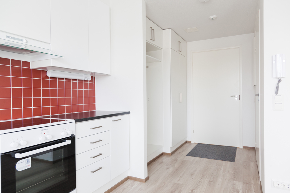 New homes in historical milieu 2