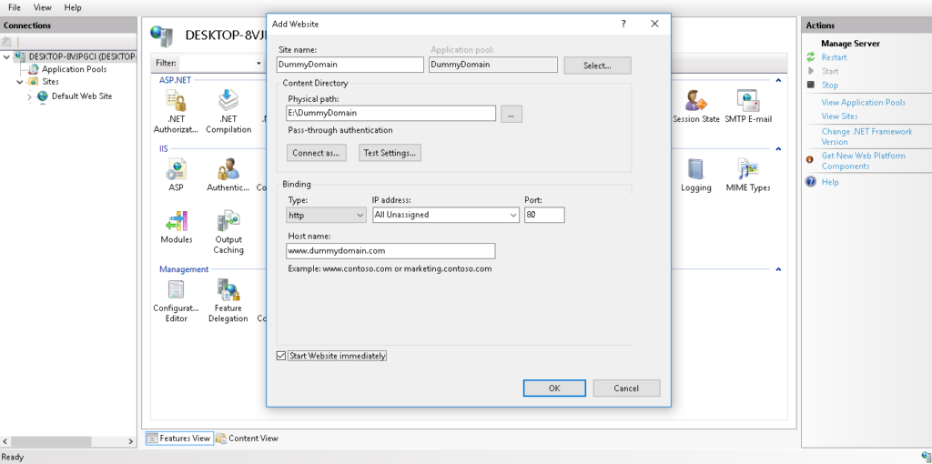 dummy dns