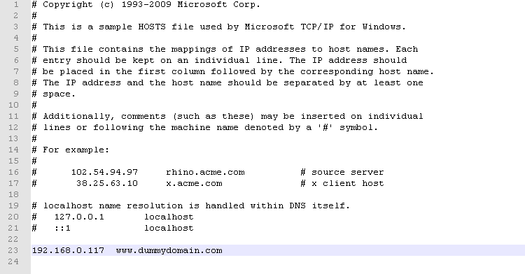dummy dns