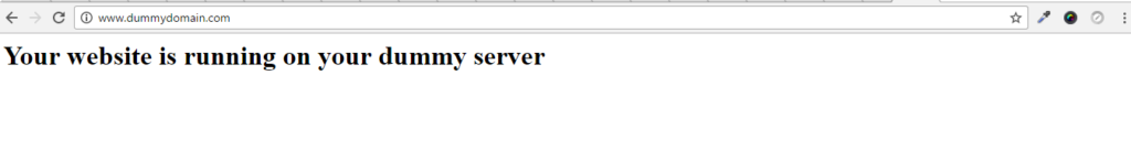 dummy dns