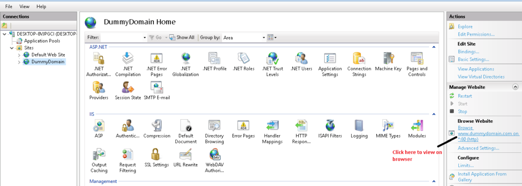 dummy dns
